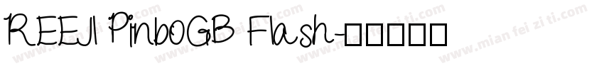 REEJl PinboGB Flash字体转换